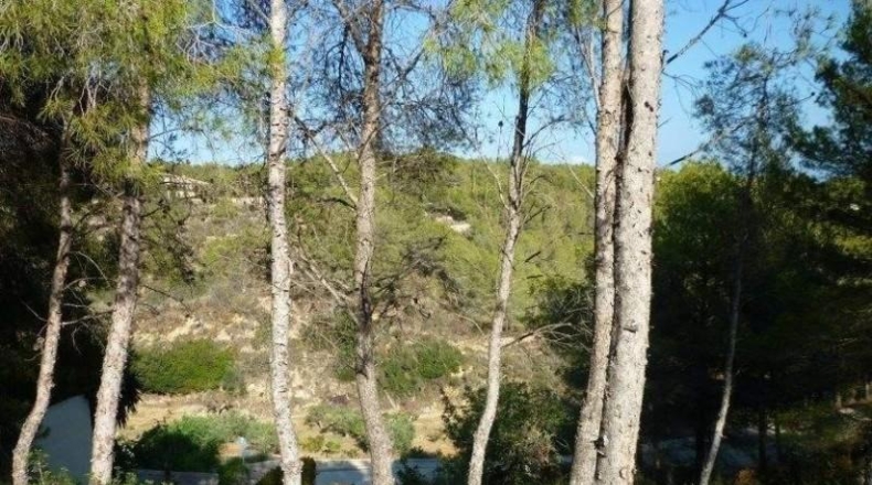 Alicante - Benisa - 1000m2