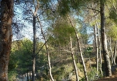 Parcela urbanizable en venta en la España, Benissa, ref: TR112660 foto