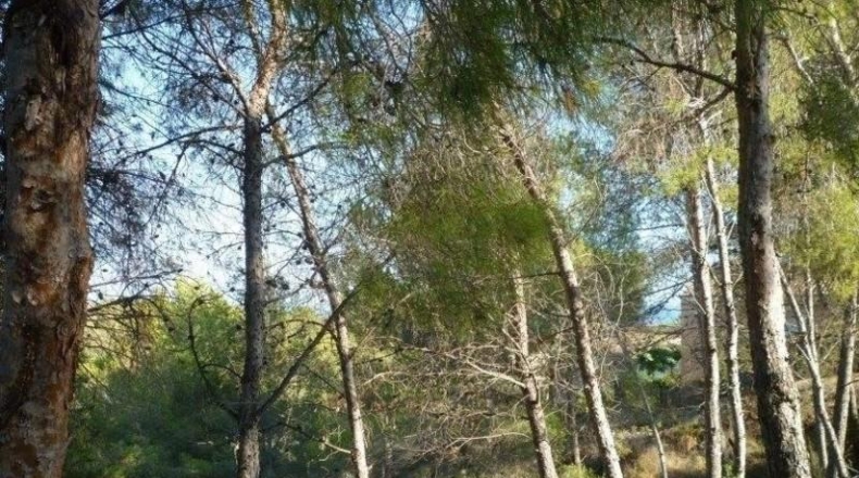 Alicante - Benisa - 1000m2