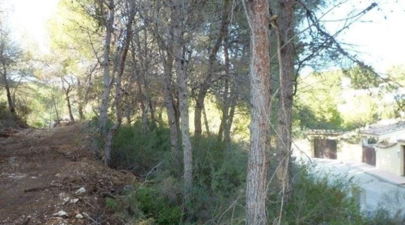 Alicante - Benisa - 1000m2