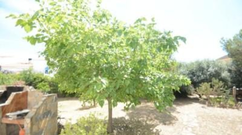 Alicante - Orihuela - 1000m2