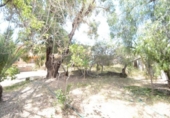 Casa amb terreny en venda a la España, Oriola, ref.: TR294259 foto