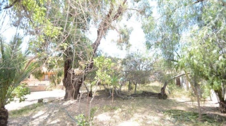 Alicante - Orihuela - 1000m2