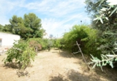 Casa amb terreny en venda a la España, Oriola, ref.: TR294259 foto