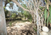 Casa amb terreny en venda a la España, Oriola, ref.: TR294259 foto