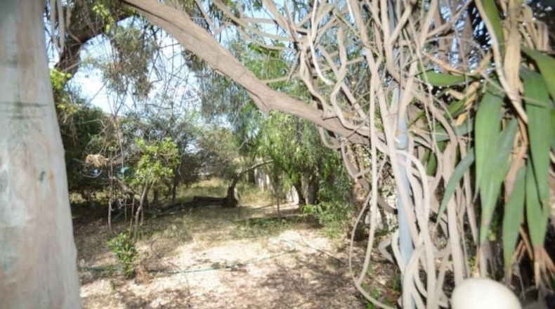 Alicante - Orihuela - 1000m2