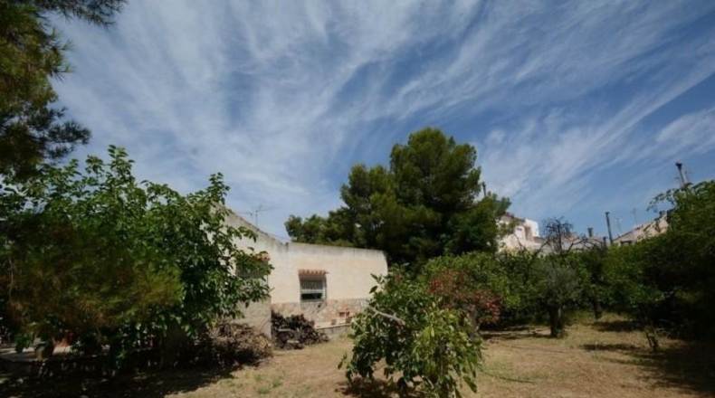 Alicante - Orihuela - 1000m2