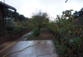 Finca rústica en venta en la España, San Cristóbal de La Laguna, ref: TR363826 foto