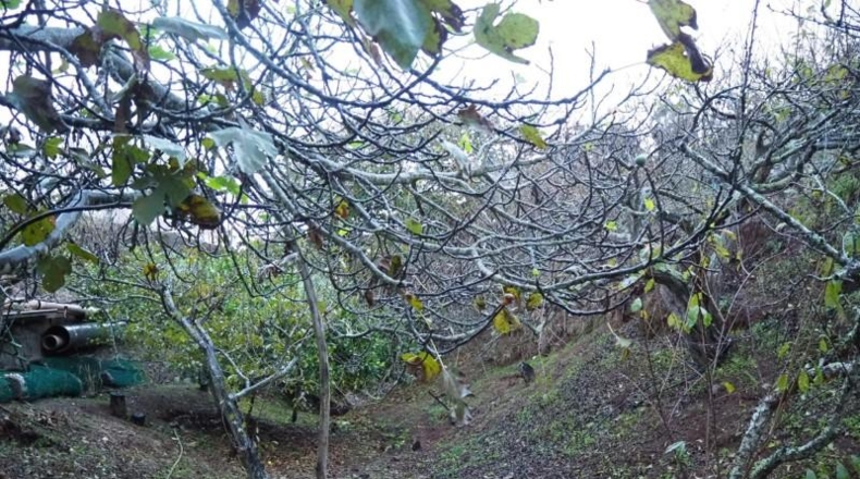 Santa Cruz de Tenerife - San Cristóbal de La Laguna - 3816m2