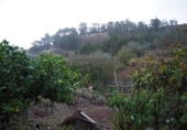 Finca rústica en venta en la España, San Cristóbal de La Laguna, ref: TR363826 foto