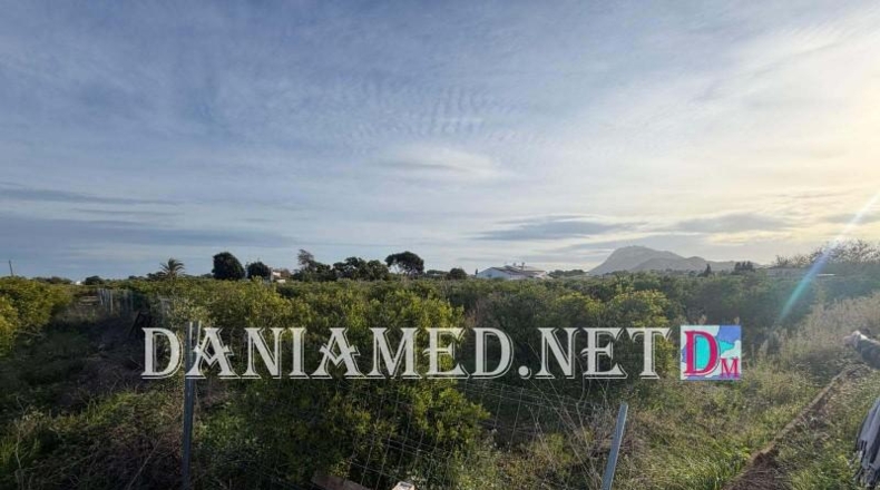 Alicante - Ondara - 12000m2