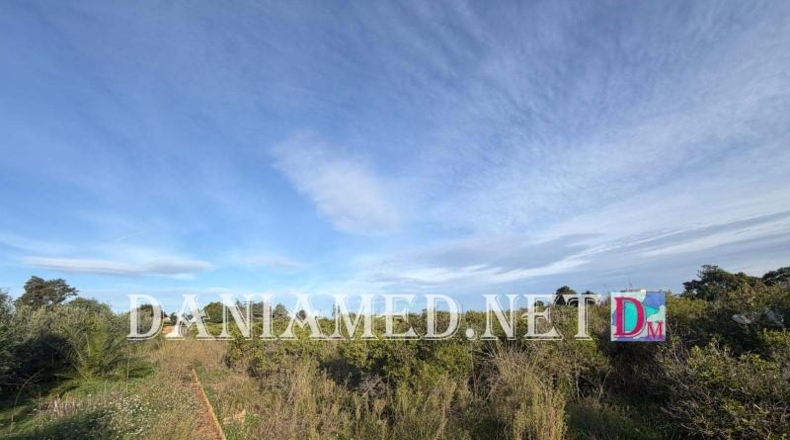 Alicante - Ondara - 12000m2