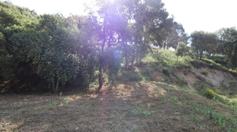 Barcelona - Cabrils - 887m2
