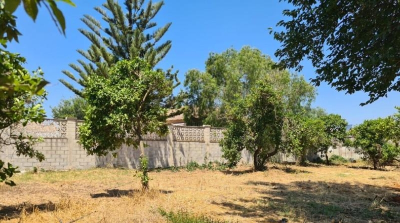 Cádiz - Chiclana de la Frontera - 816m2