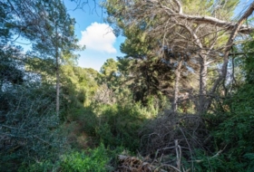 Capdepera 975&nbsp;m²