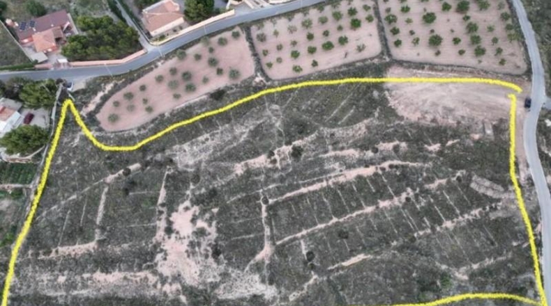 Alicante - Аликанте - 16200m2