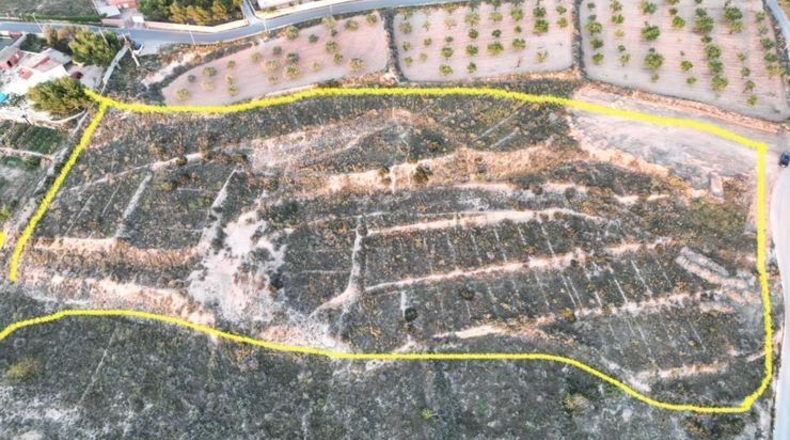 Alicante - Аликанте - 16200m2