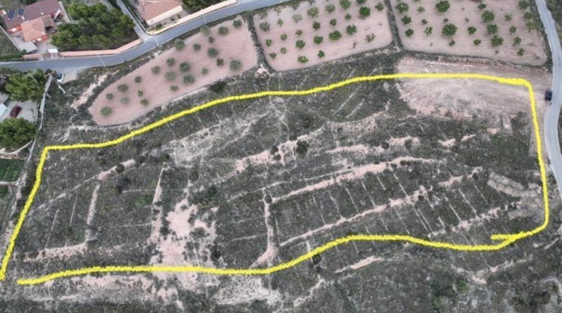 Alicante - Аликанте - 16200m2