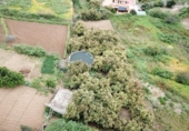 Xalet independent amb terreny en venda a la España, Los Realejos, ref.: TR163222 foto