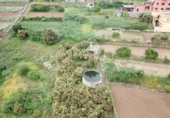 Xalet independent amb terreny en venda a la España, Los Realejos, ref.: TR163222 foto
