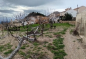 Parcel·la urbanitzable en venda a la España, Oria, ref.: TR376206 foto