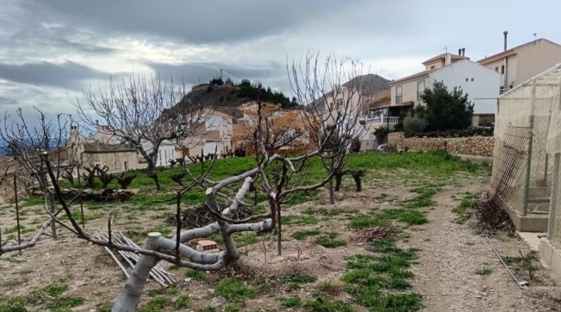 Almería - Oria - 2163m2