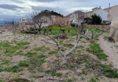 Parcel·la urbanitzable en venda a la España, Oria, ref.: TR376206 foto