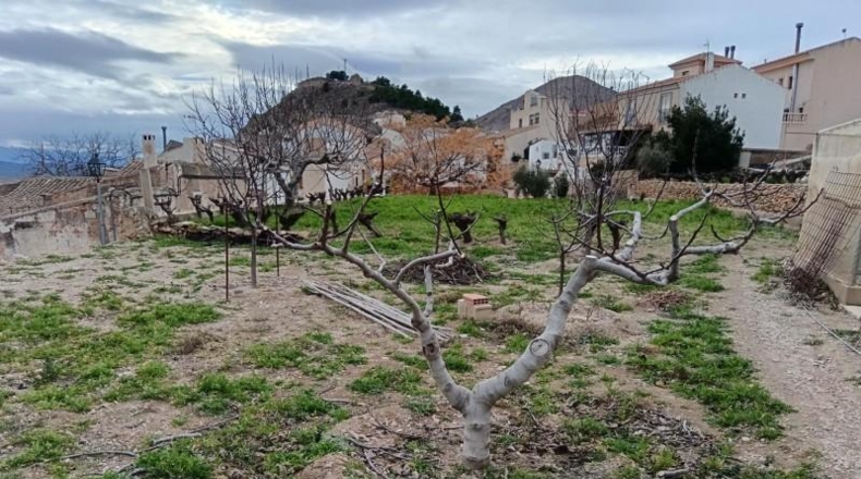 Almería - Oria - 2163m2