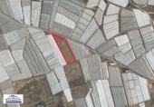Non-developable land for sale on España, Balerma, ref: TR153380 photo