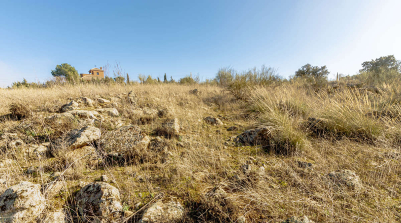 Toledo - Toledo - 16316m2
