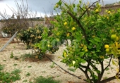 Xalet independent amb terreny en venda a la España, Guía de Isora, ref.: TR317892 foto
