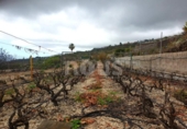 Xalet independent amb terreny en venda a la España, Guía de Isora, ref.: TR317892 foto