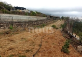 Xalet independent amb terreny en venda a la España, Guía de Isora, ref.: TR317892 foto