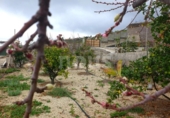 Xalet independent amb terreny en venda a la España, Guía de Isora, ref.: TR317892 foto
