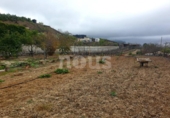 Xalet independent amb terreny en venda a la España, Guía de Isora, ref.: TR317892 foto