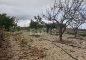 Xalet independent amb terreny en venda a la España, Guía de Isora, ref.: TR317892 foto