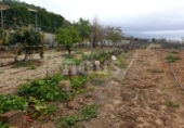 Xalet independent amb terreny en venda a la España, Guía de Isora, ref.: TR317892 foto