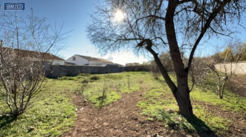Guadalajara - Humanes - 250m2