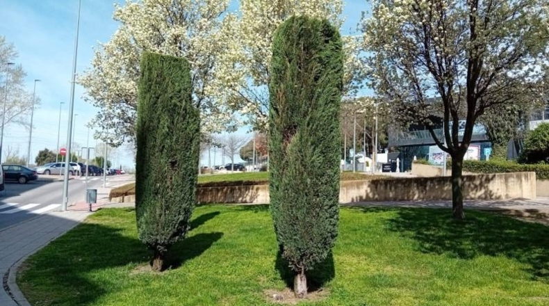 Comunidad de Madrid - San Sebastián de los Reyes - 52m2