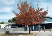 Casa de poble en venda a la España, San Sebastián de los Reyes, ref.: TR271095 foto