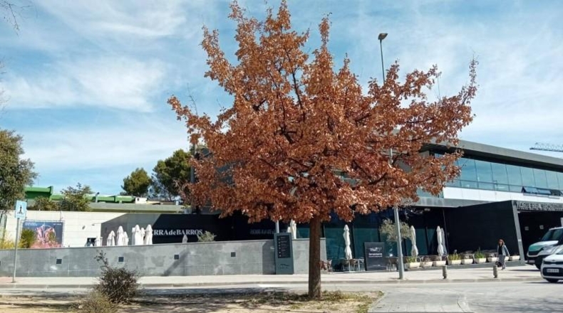 Comunidad de Madrid - San Sebastián de los Reyes - 52m2
