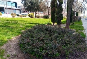 San Sebastián de los Reyes 52&nbsp;m²