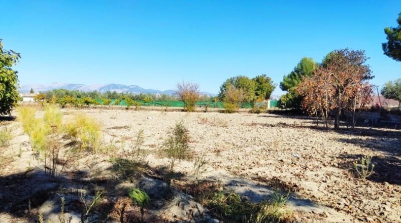 Granada - Los Llanos - 2189m2