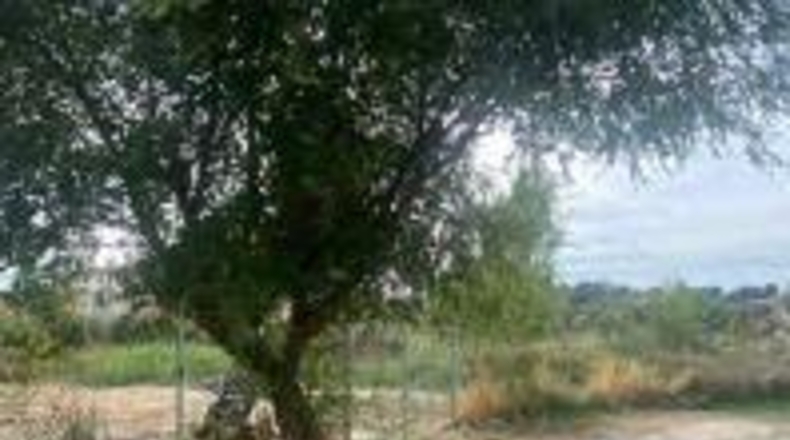 Toledo - Seseña - 613m2