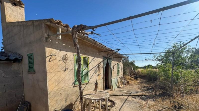 Islas Baleares - Lloseta - 2618m2