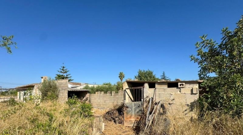 Islas Baleares - Lloseta - 2618m2