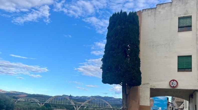 Tarragona - Móra d'Ebre - 595m2