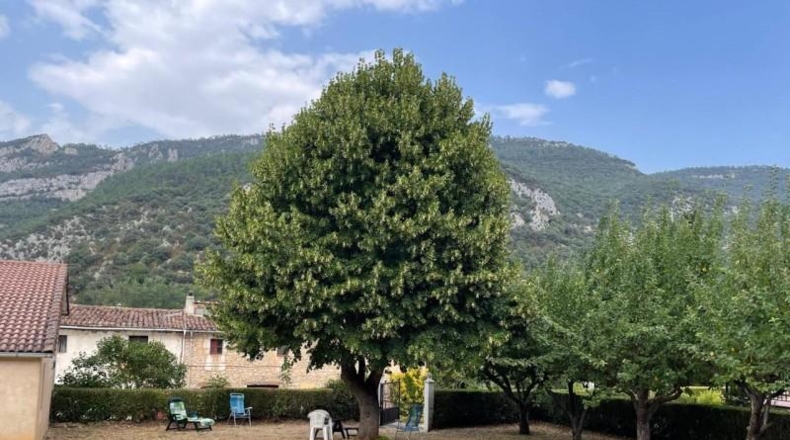 Burgos - Треспадерне - 1490m2