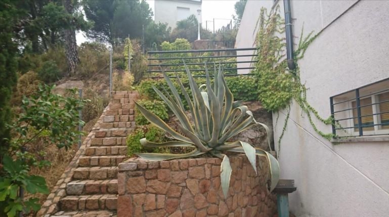 Córdoba - Córdoba - 894m2
