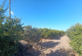 Foto 15